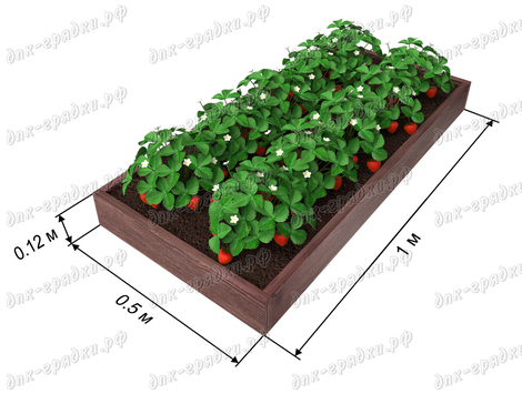 Купить готовые грядки из ДПК